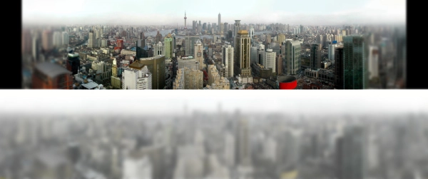 مدل دیدن گربه