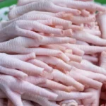 پای مرغ برای گربه