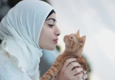 گربه نجس نیست