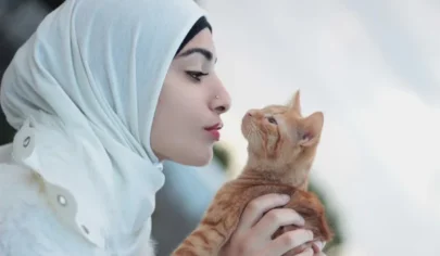گربه نجس نیست