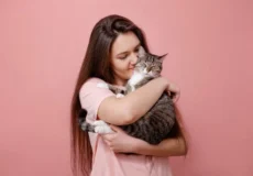 اهش ریسک سکته با داشتن گربه