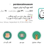 کافه موزه گربه ایرانی
