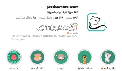 کافه موزه گربه ایرانی