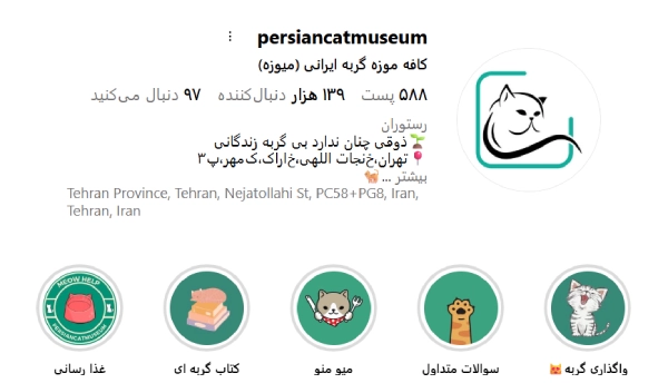 کافه موزه گربه ایرانی